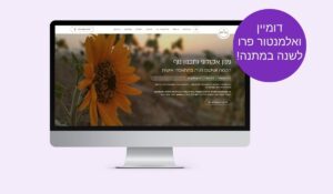 מיניסייט פרימיום